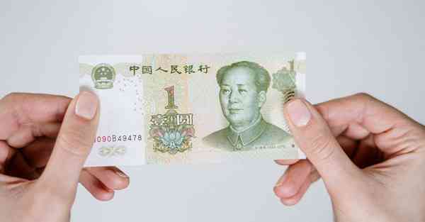 布谷加速器下载地址